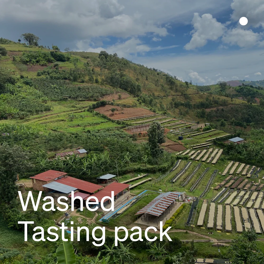 Coffee Bean Tasting Packs